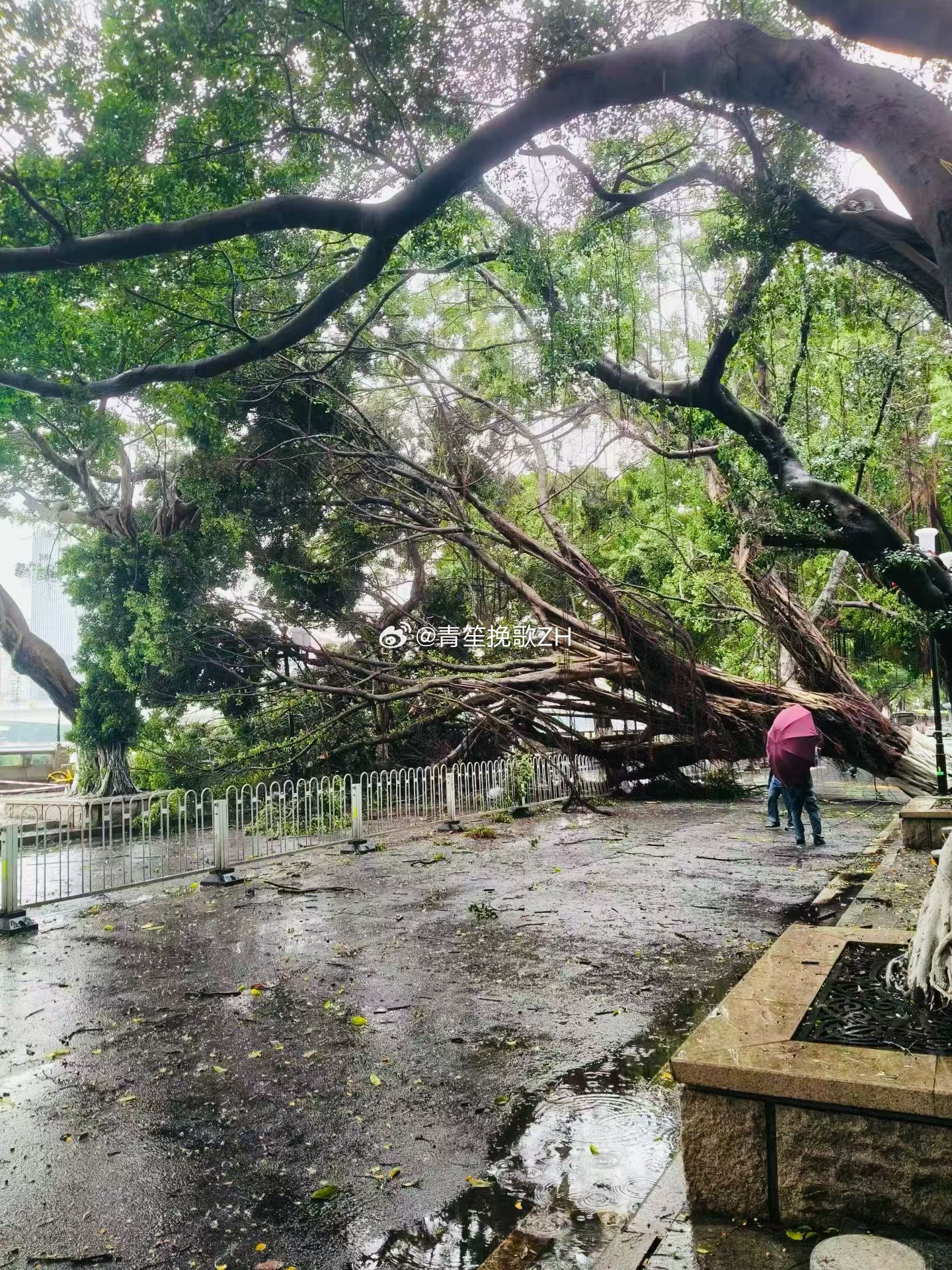 生活手记雷雨天注意安全⚠️减少户外活动 