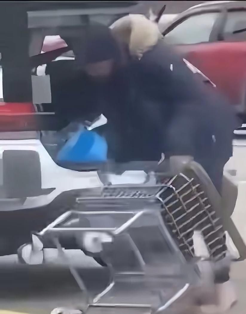 愤怒的购物车！！
       购物车大家都不陌生，各大超市为了顾客方便，商家提
