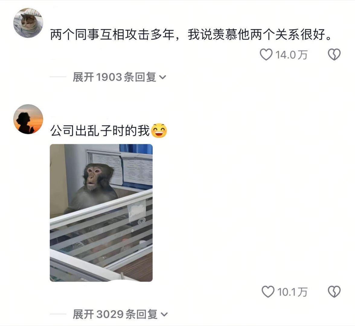 同事以为我装傻没想到是真傻 