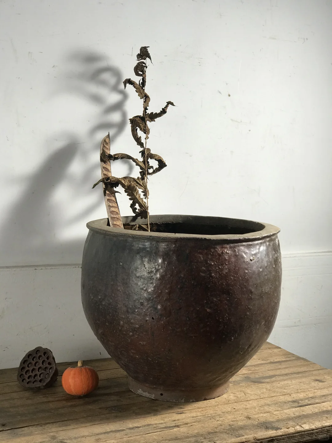 红釉陶缸、民宿、茶室极简侘寂摆件、大型绿植