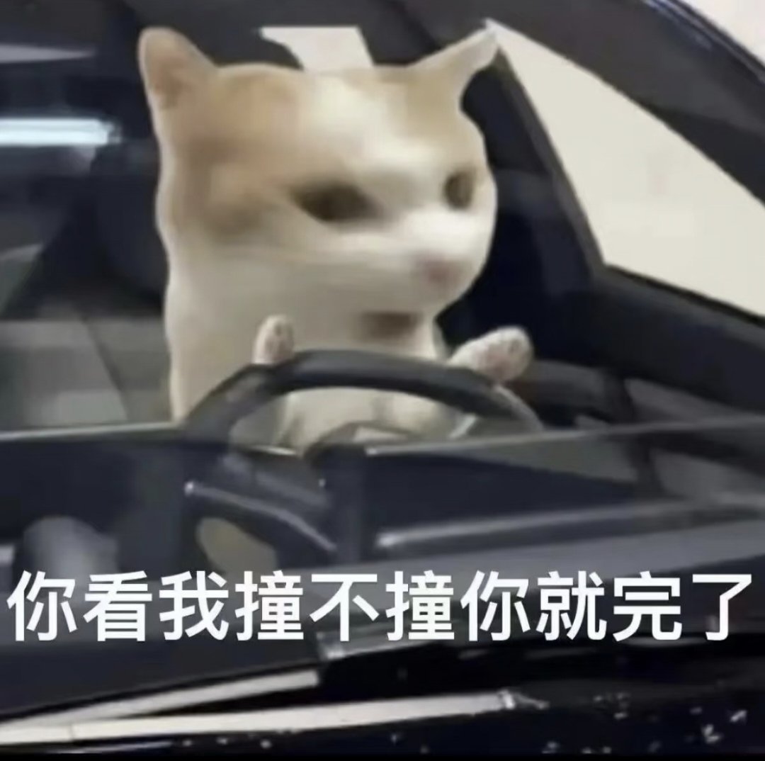 你会发通知不破学校我今早刚把车🎫退了 ​​​