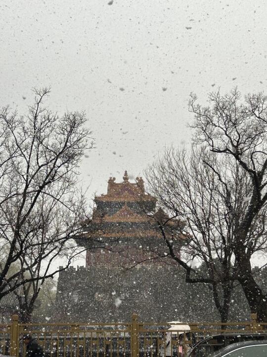 突然暴雪❄️北京你疯了吗？？？