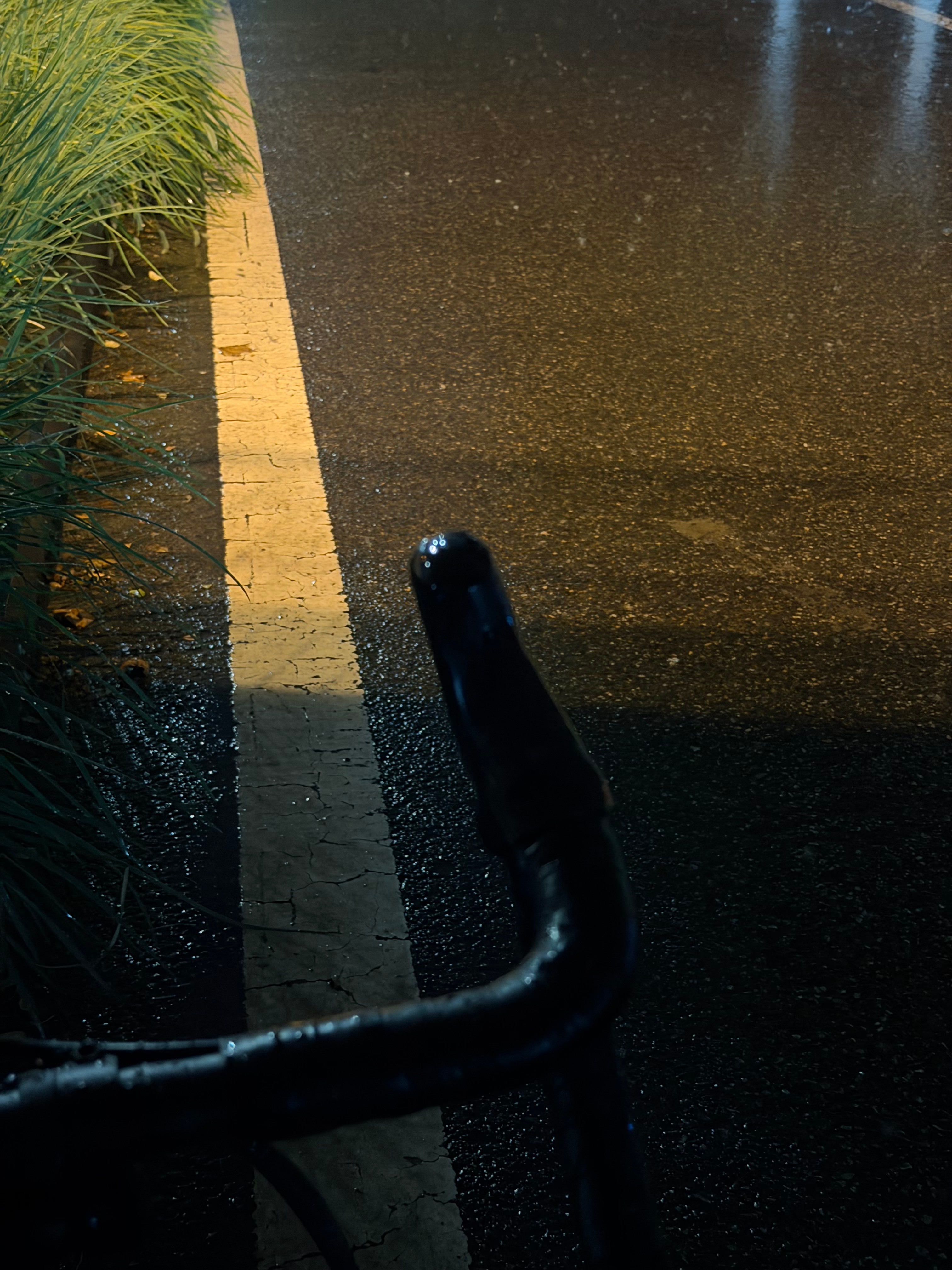 骑着骑着车，下雨了，这你受得了吗