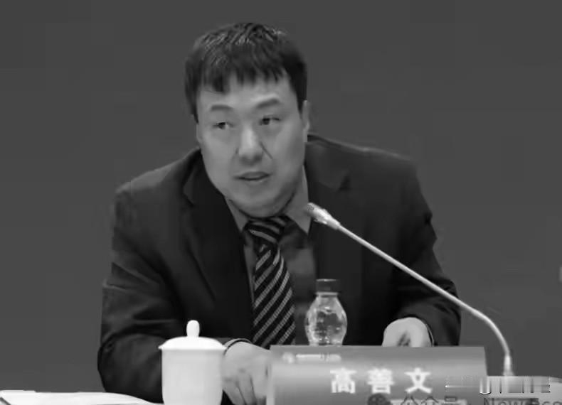 2026年7月7日夜里，财经圈传来噩耗，55岁的首席经济学家高善文因病离世。他1