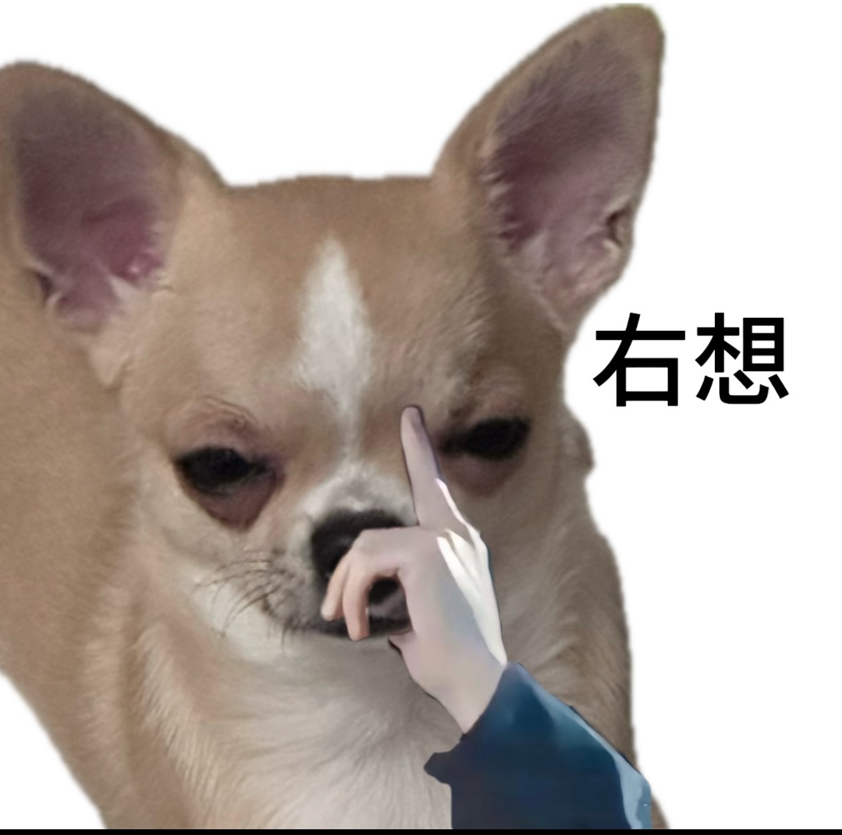 穆祉丞开个演唱会，感觉楼里快打起来了，这边说他“丹麦”，那边说他“发麦”……要不