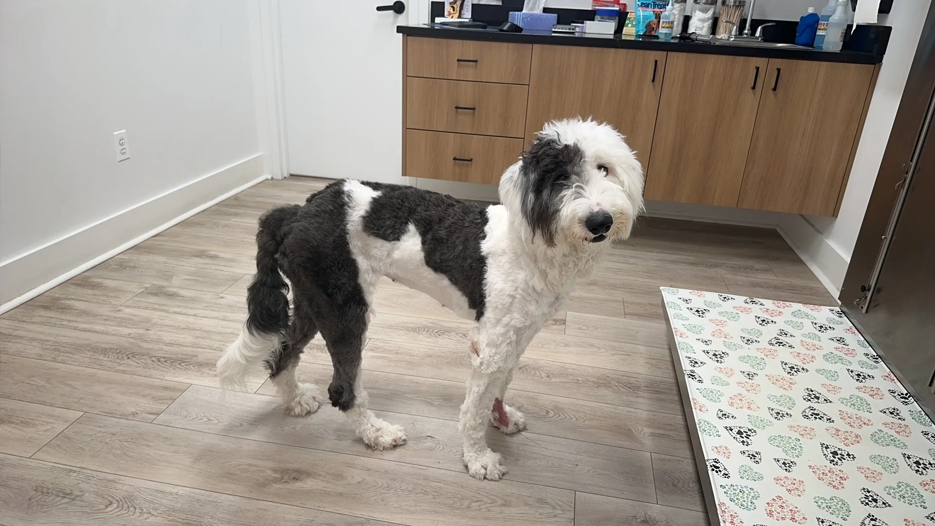 就诊记录｜即将开始新一轮看病之旅…