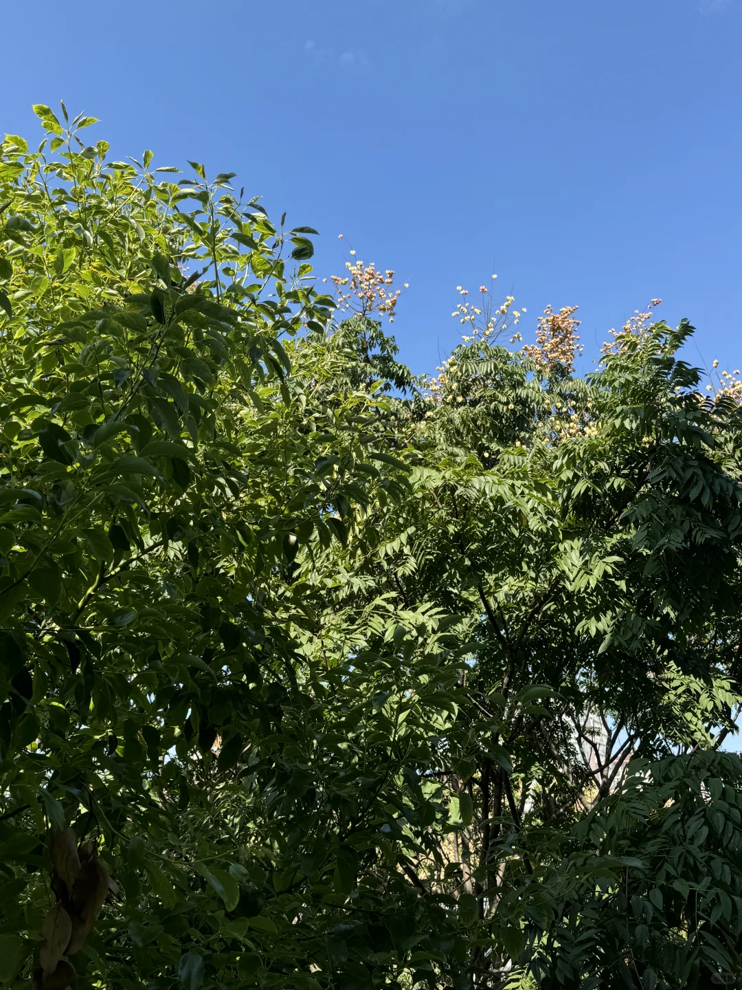 真的不是在国外，是我在长沙的88平小家