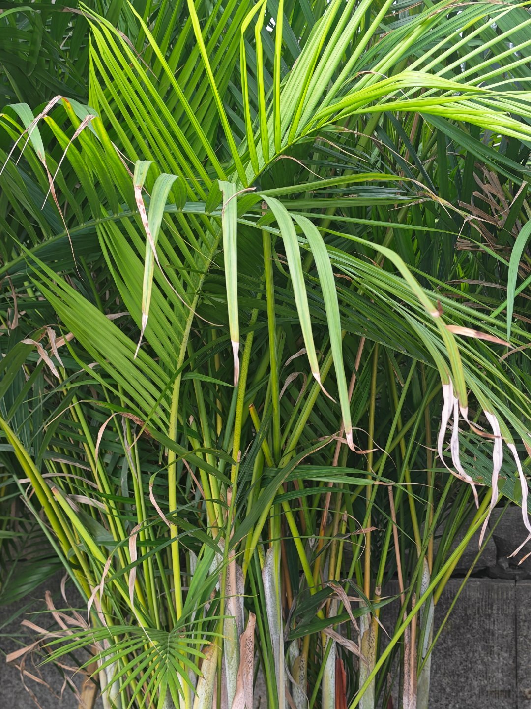 早，起床搬砖了每天早起打卡