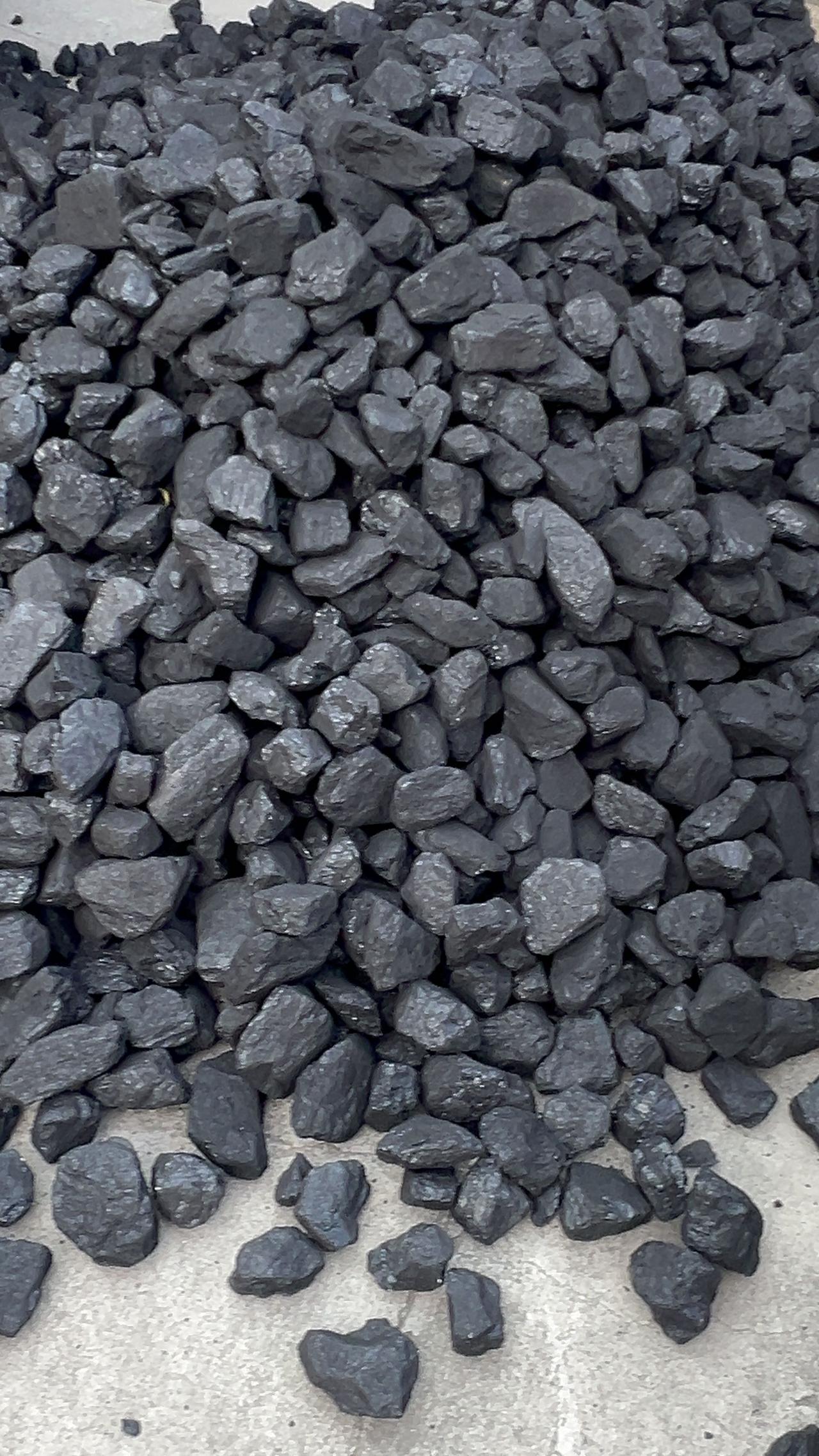 我们这里还能烧煤，有的地方听说不能烧煤了，今天买的煤花了2000块