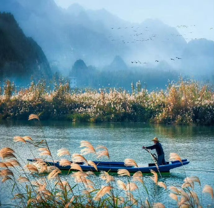 “  人淡淡，水蒙蒙，吹入芦花短笛中 …  ” 