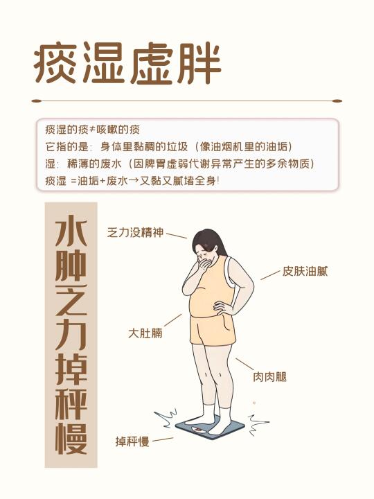 痰湿虚胖的你需要加快运化、排“废水”