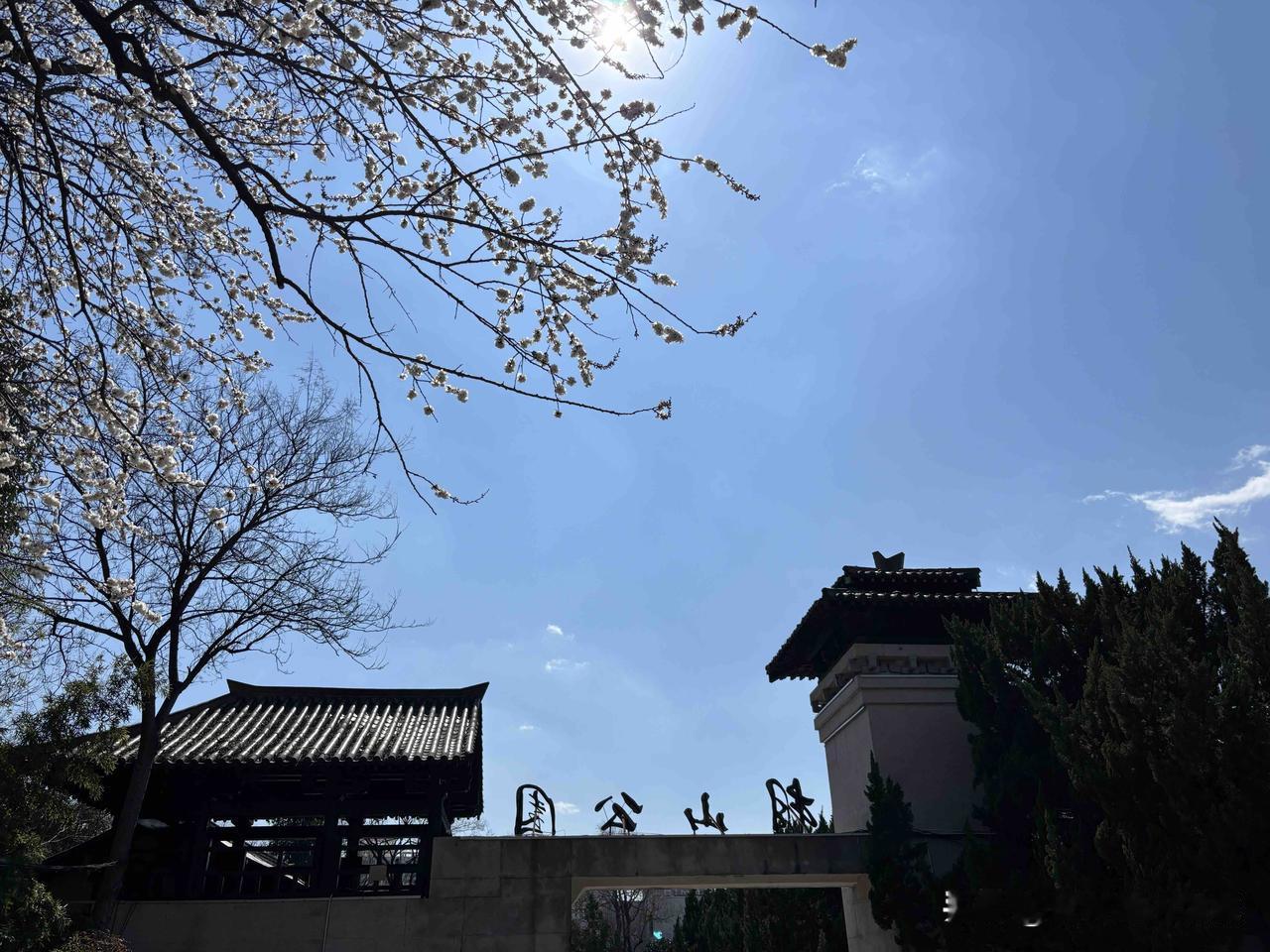办公室同事淘到宝了！

姐姐让妹妹帮着看房买房，条件是养老1到3层都可以，就是不