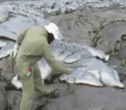 这是什么东西？像是一种融化的金属，也像是流动的火山熔岩，这东西的温度应该是相当高