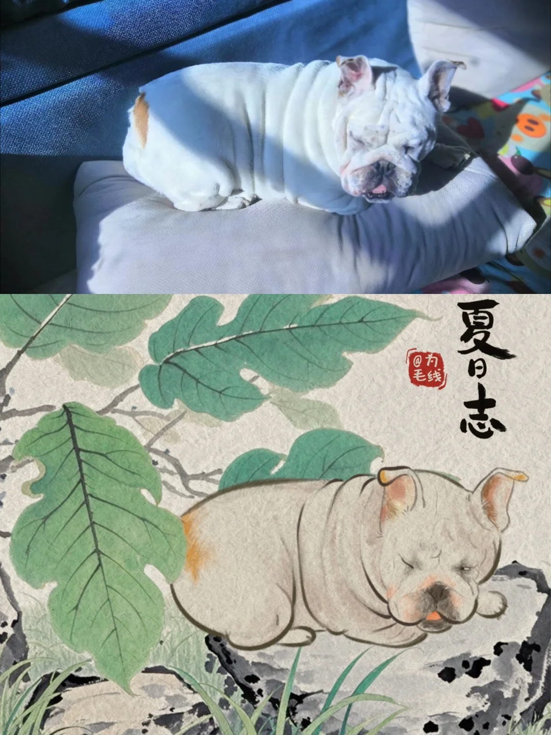 抓修狗啦｜今天走走国风🫶🏻