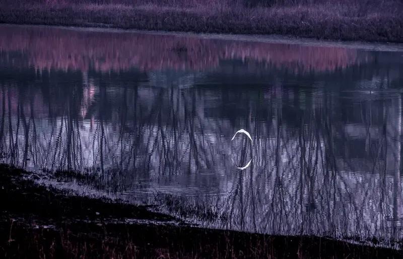 酒里吟诗诗有味。
茶中赏月月弯眉。