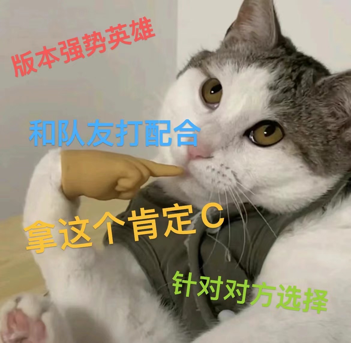 选英雄一直都很费脑子的#就这个王者荣耀爽##王者荣耀# ​​​