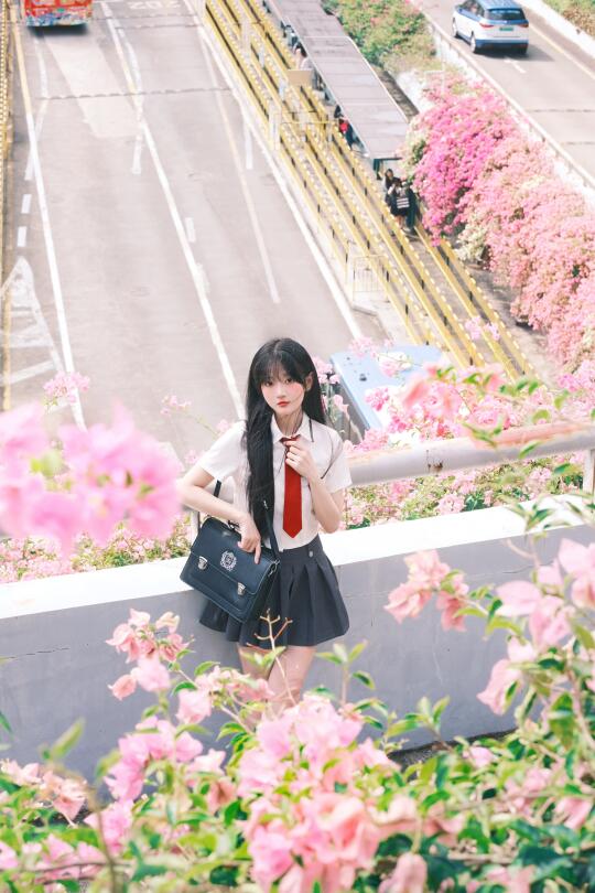 三角梅与制服少女～