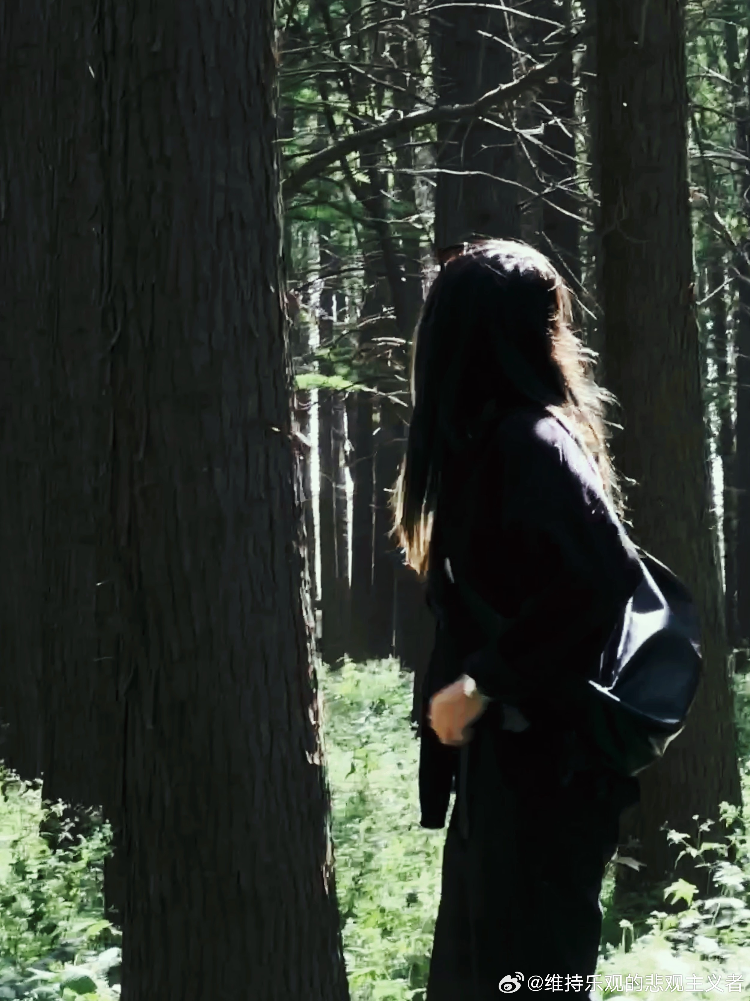 “正式开始清相册” 