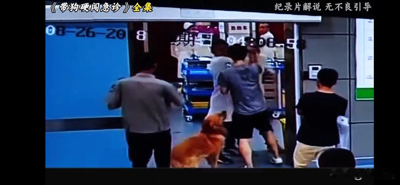 央视揭开宠物神药黑幕
 
近期，央视重磅揭秘宠物“神药”完整黑产业链，撕开了当下