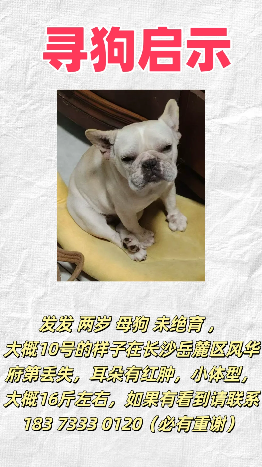 我家狗丢了，恳求各位帮忙留意一下