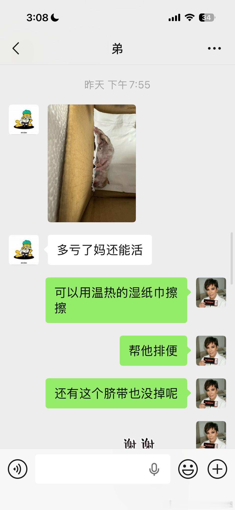 今天心里特别难受，昨天有一只瘦骨嶙峋的母猫走到我家院子树下生孩子，生完就死了，孩