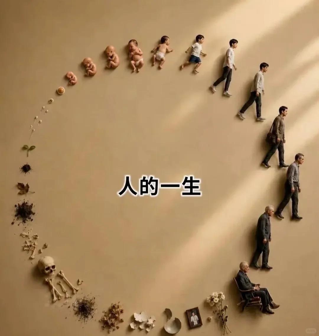 人生轮回图！看完看淡很多事

一张图浓缩人的一生，从种子到生命诞生，一路长大、奋
