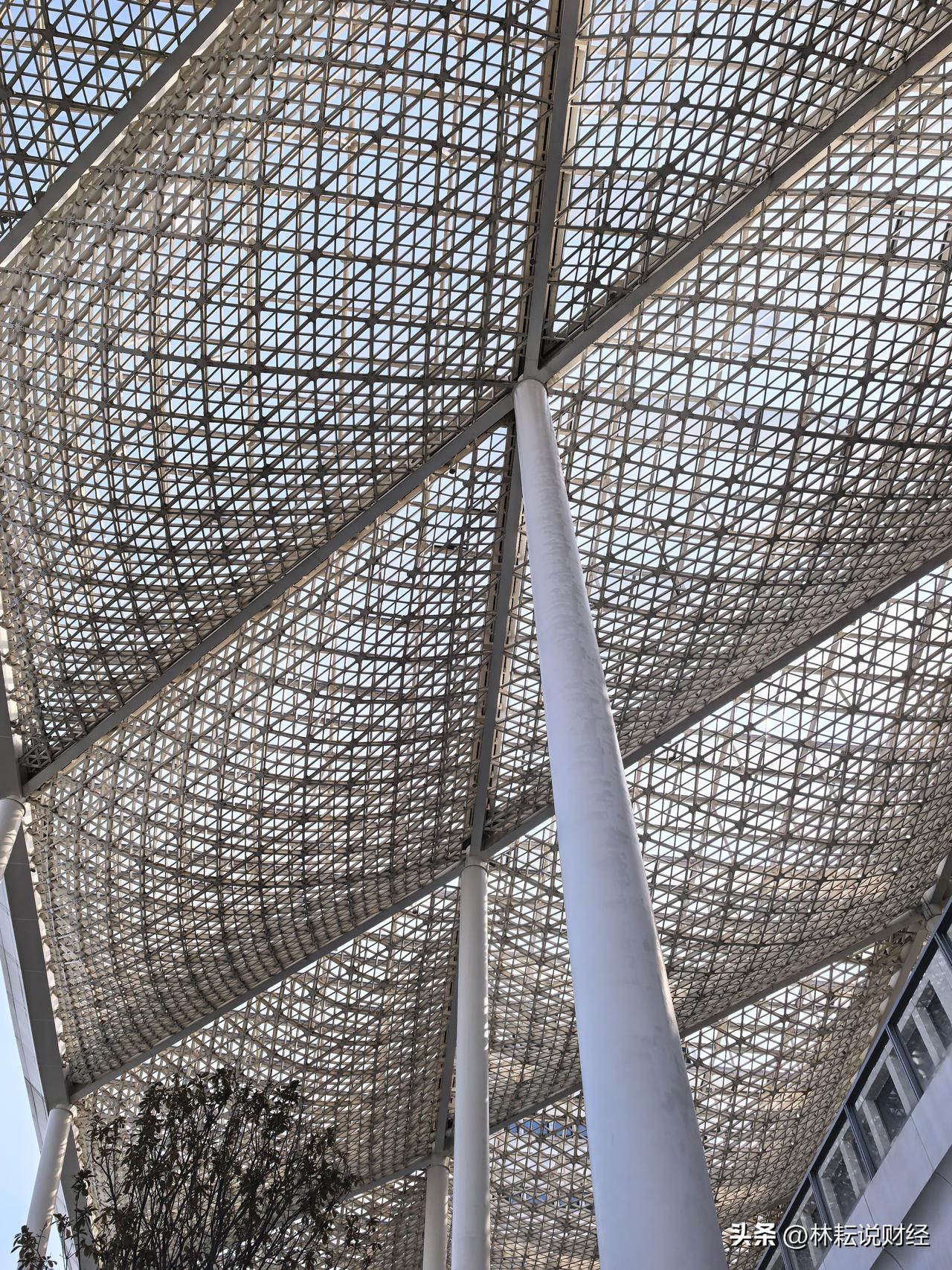 炒黄金、比特币，换美元、外汇，搞股票、基金，各种折腾一厢情愿，最终发现都是羊入虎