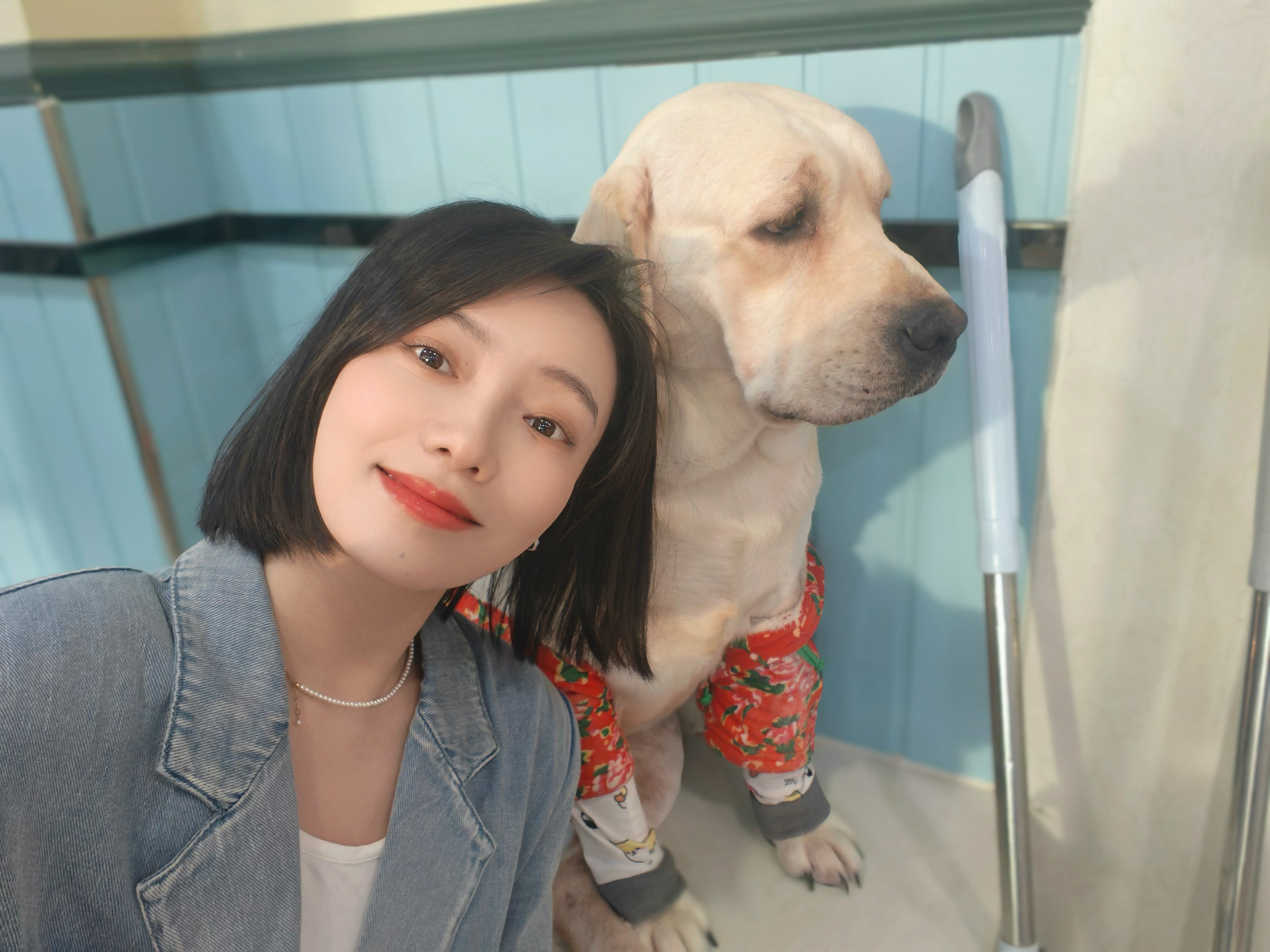 汪汪队开会🐾非正式跨年派对治愈随手拍