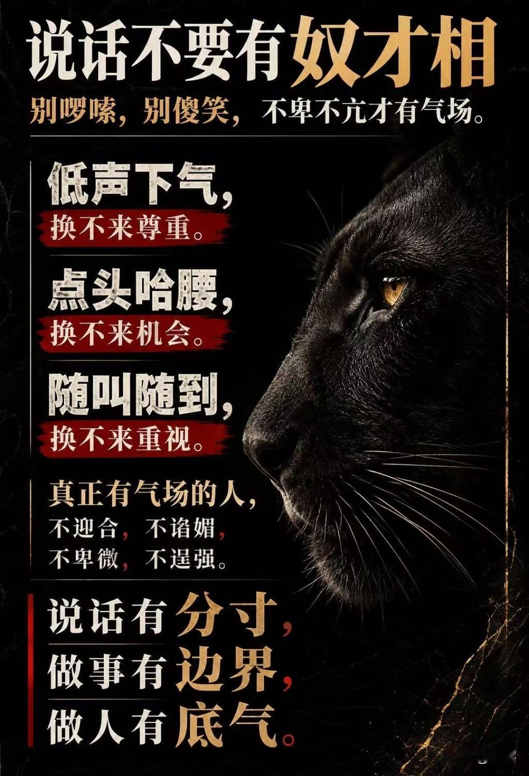 零散的知识只是一个个孤立的点，单单记住信息远远不够，认知才是串联起所有知识点的长