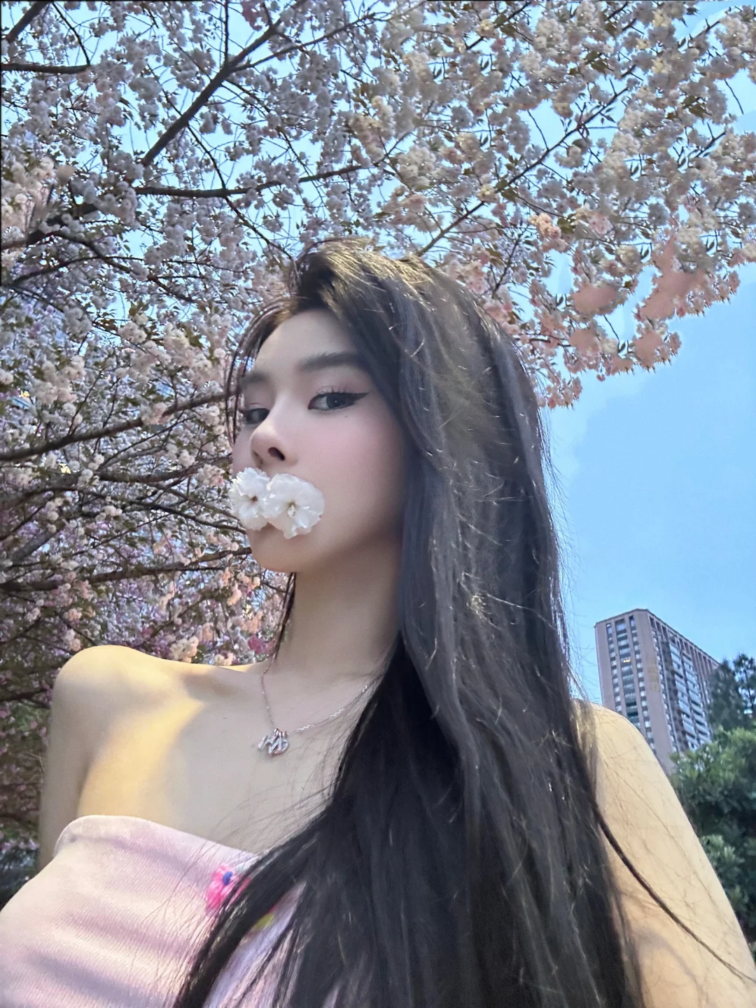 Sakura🌸