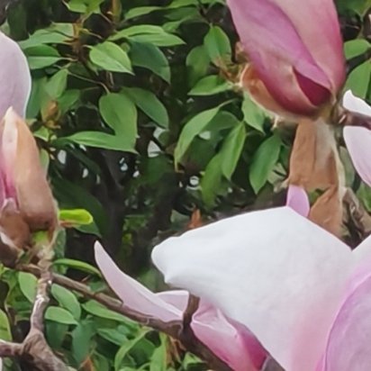 向善是一种文明，也是一种光明。善良之举，需要人人拥有。善良之歌，需要人人唱和。让