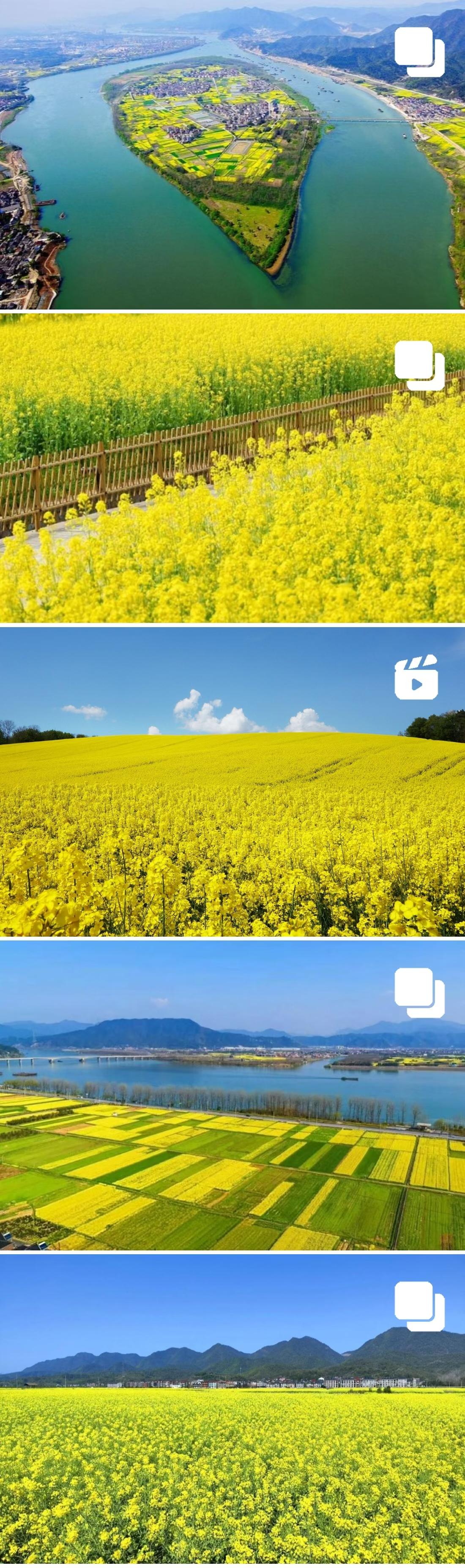 大家一起乐，即齐乐乐。
杭州战友春季活动之六：五丰岛垂钓
       春风正好