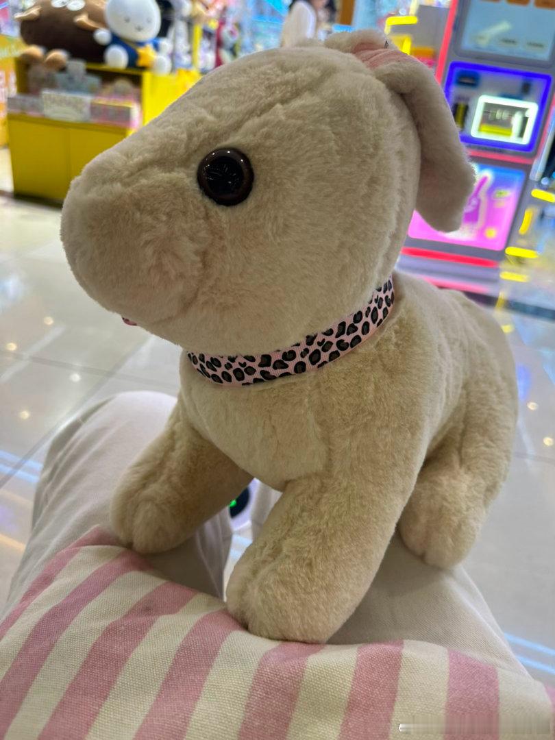 小朋友长进了自已夹到了大娃娃5个币一局，五局搞定你我母女一场 此生不必相见你我母