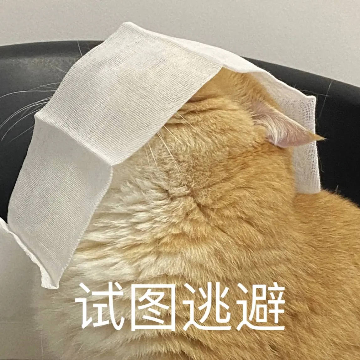 我看谁还没有修猫表情包🫵🏻。