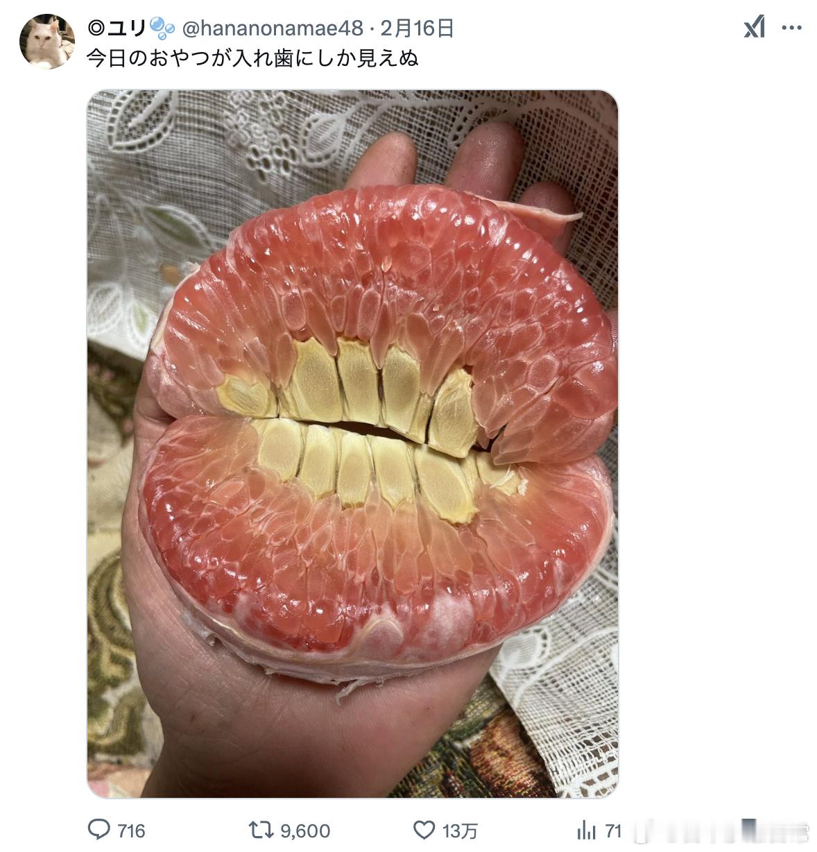 今天的吃的点心柚子也太像假牙了吧？🦷 