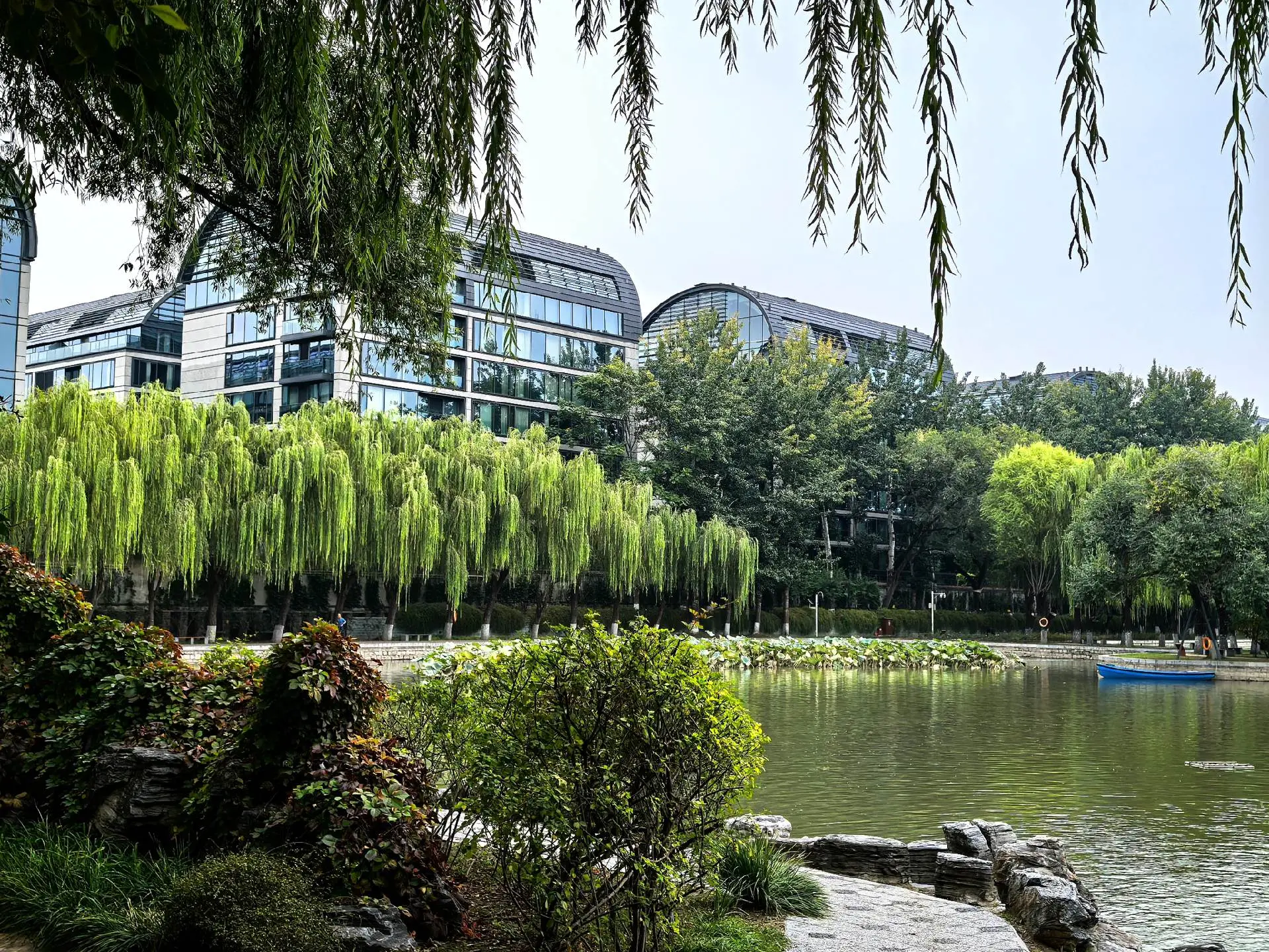 心之所向皆自由。放松身心与环境好像有点关系，保持快乐心态，排除环境因素...