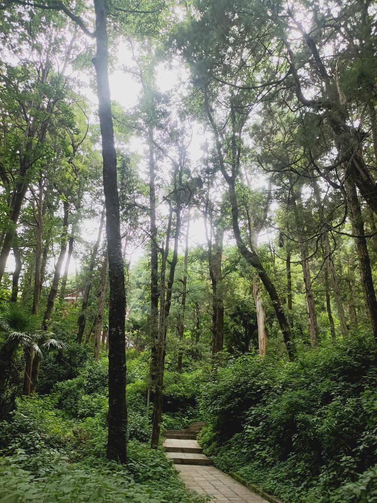 今日苍山
随手拍美丽大自然