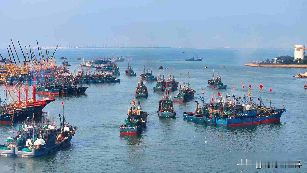 近期东海海域颇为热闹，2025年圣诞节当天有两千多艘渔船整齐排成长队，横亘海面仿