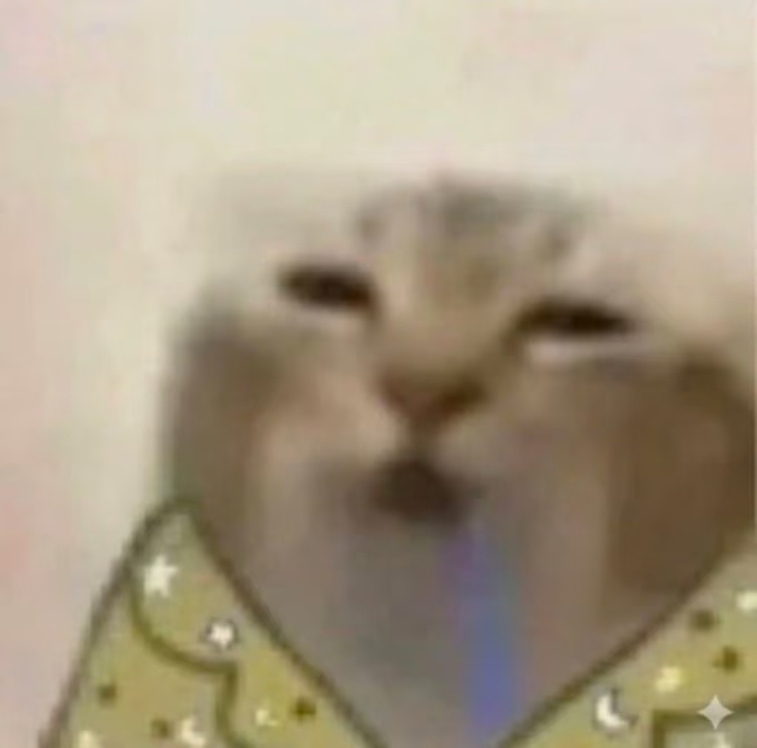 我每天： 