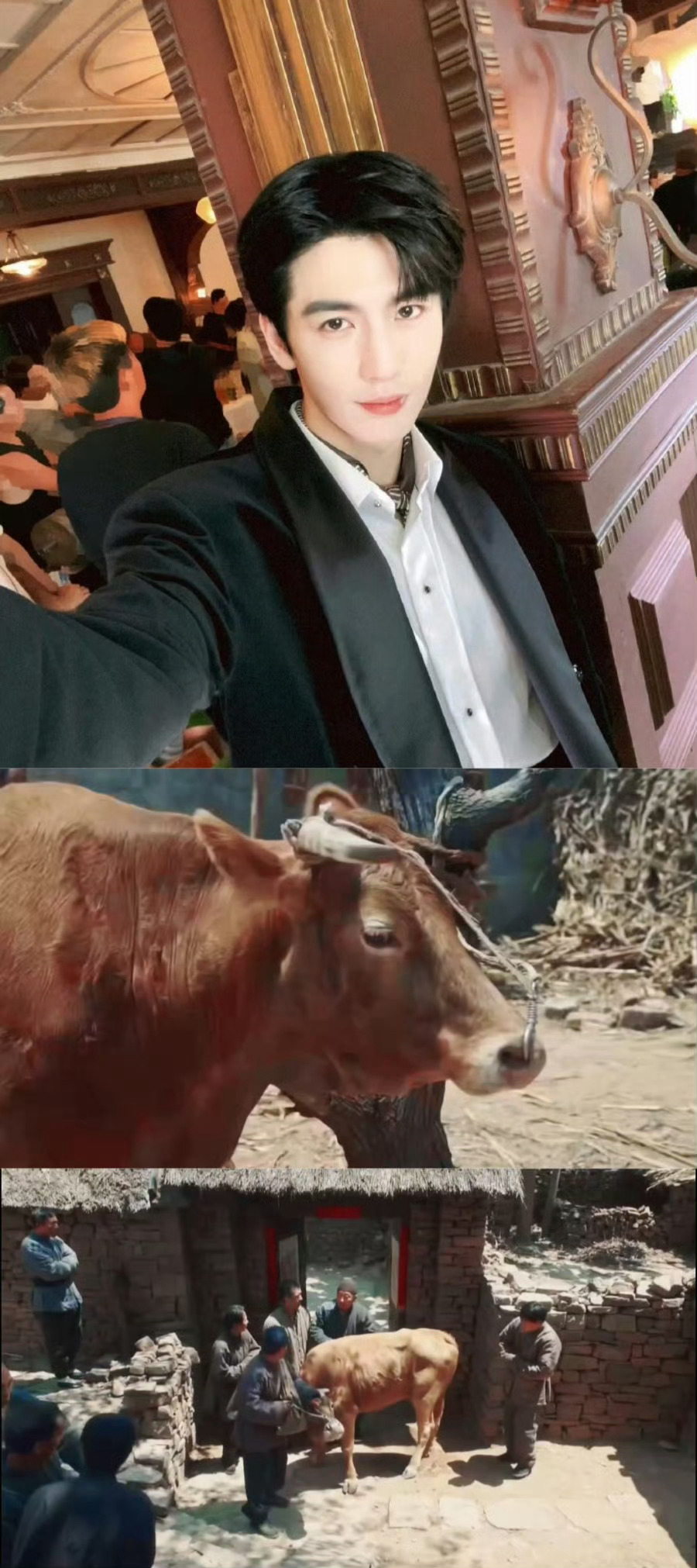 张凌赫友情出演生万物出场费结一下，还是一个单角的牛，真的梦幻联动了 ​​​