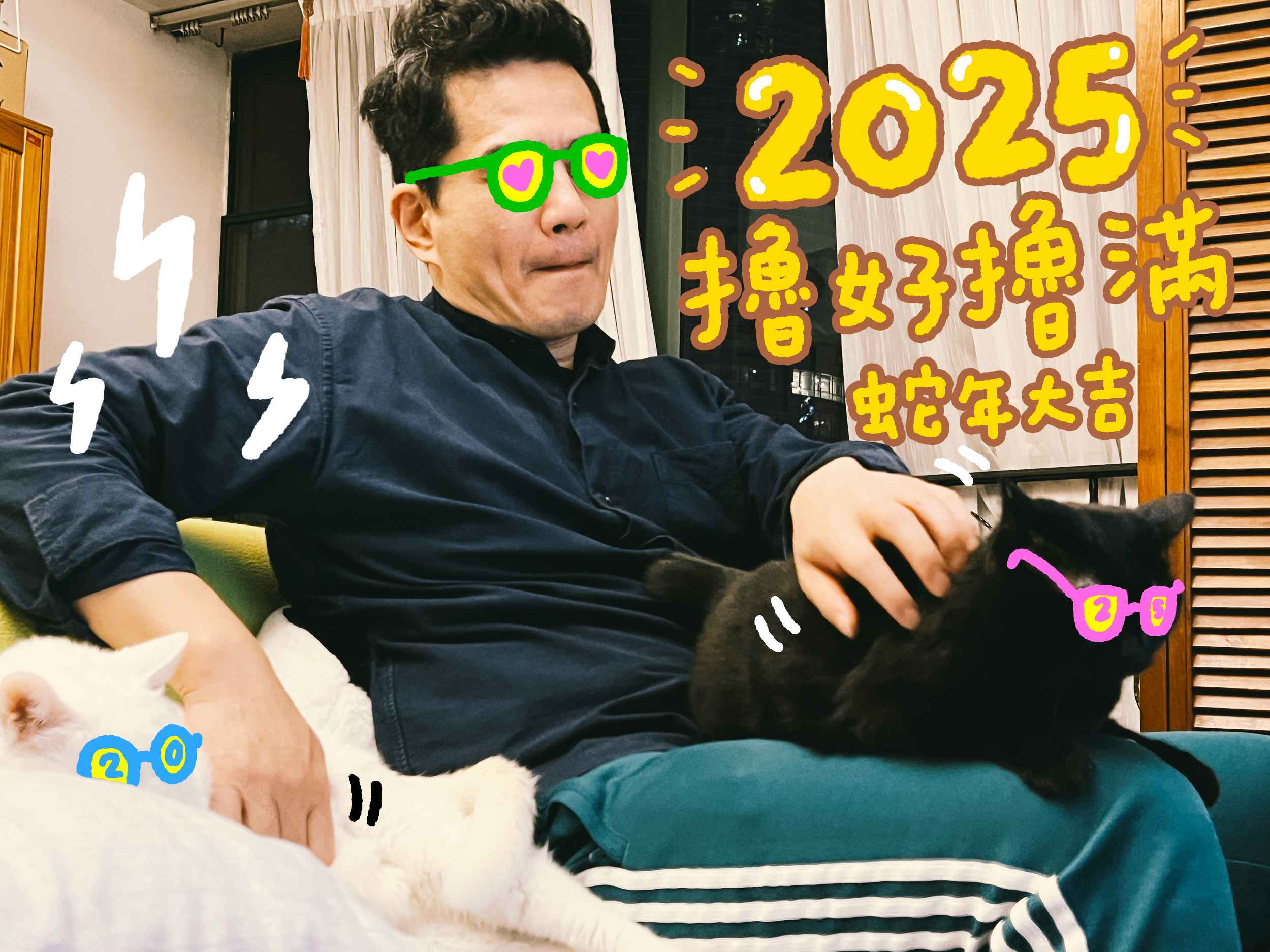 迎接2025 HAPPY NEW YEAR吉家祝大家、蛇年大吉健康如山、擼好擼滿