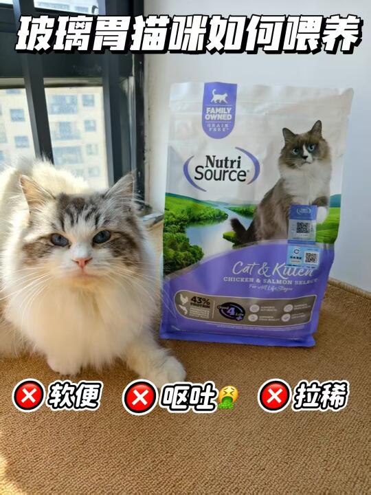 🎉玻璃胃小猫逆袭记❗❗