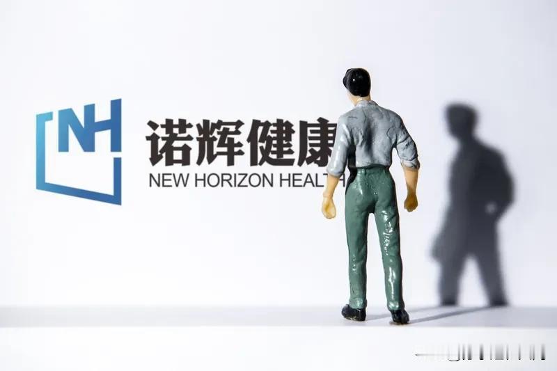 诺辉健康这四年的崩塌，简直是一场荒诞大戏。2015年由三位北大学子创立后，凭借“