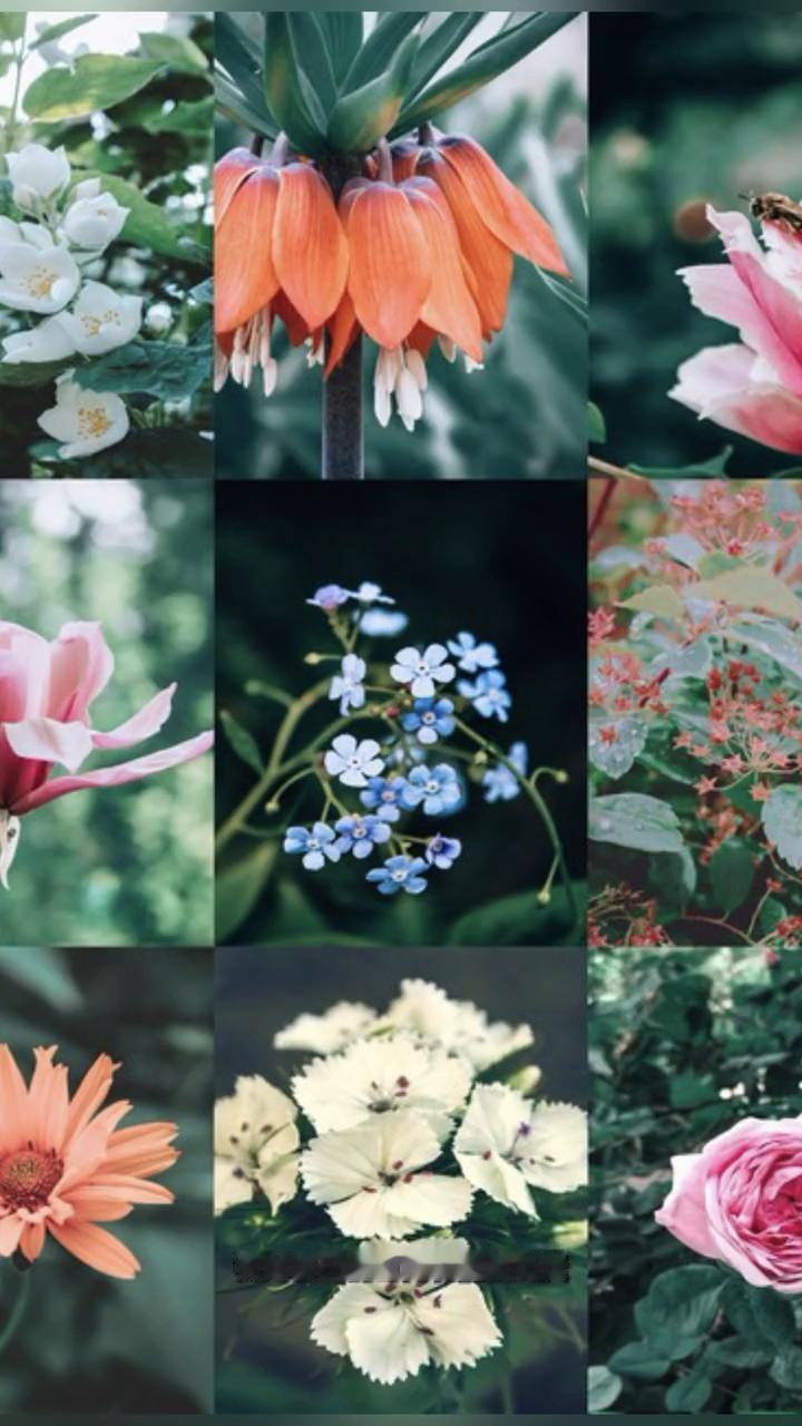 心灵寄语。
人生是一个不断坚持的过程，那些点滴的进步和成长会逐渐积累成生命无穷的