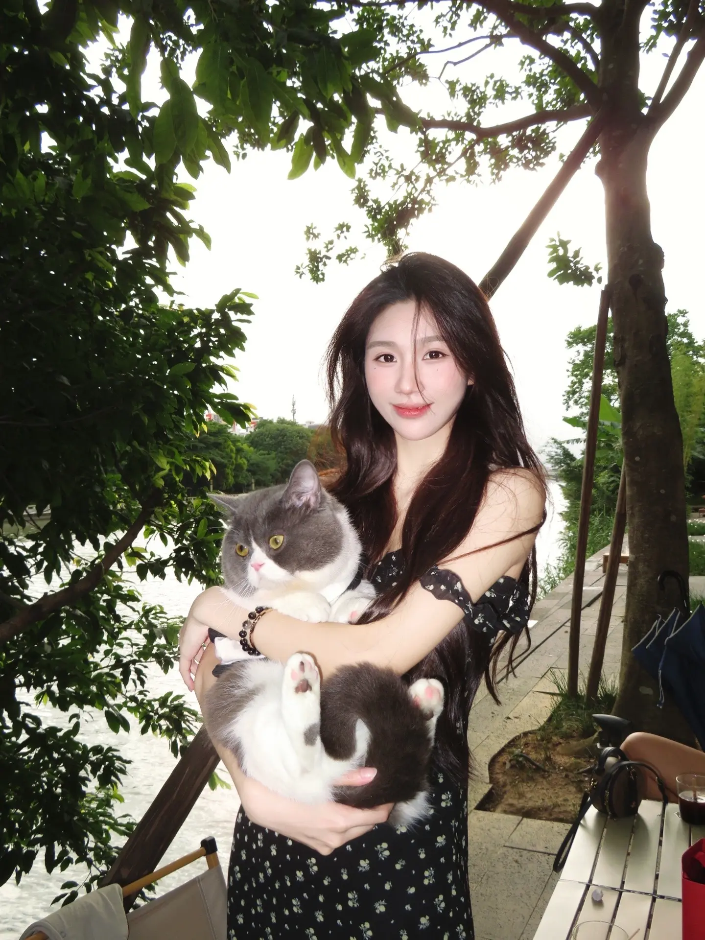 我和猫
