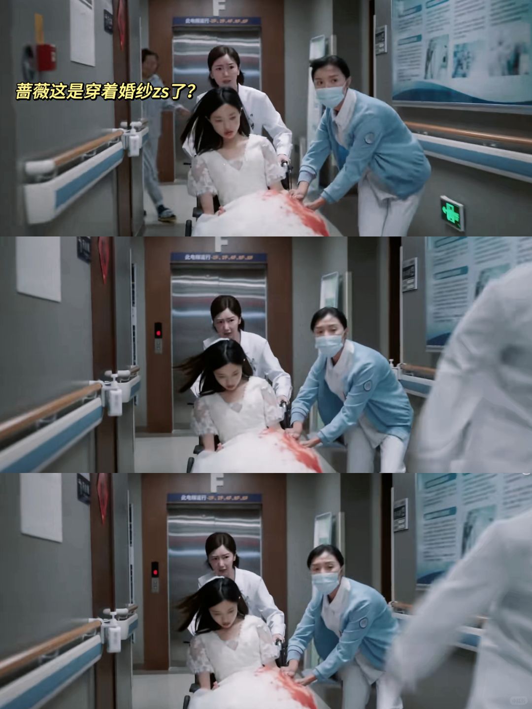 🆘蔷薇这是怎么回事❓❓