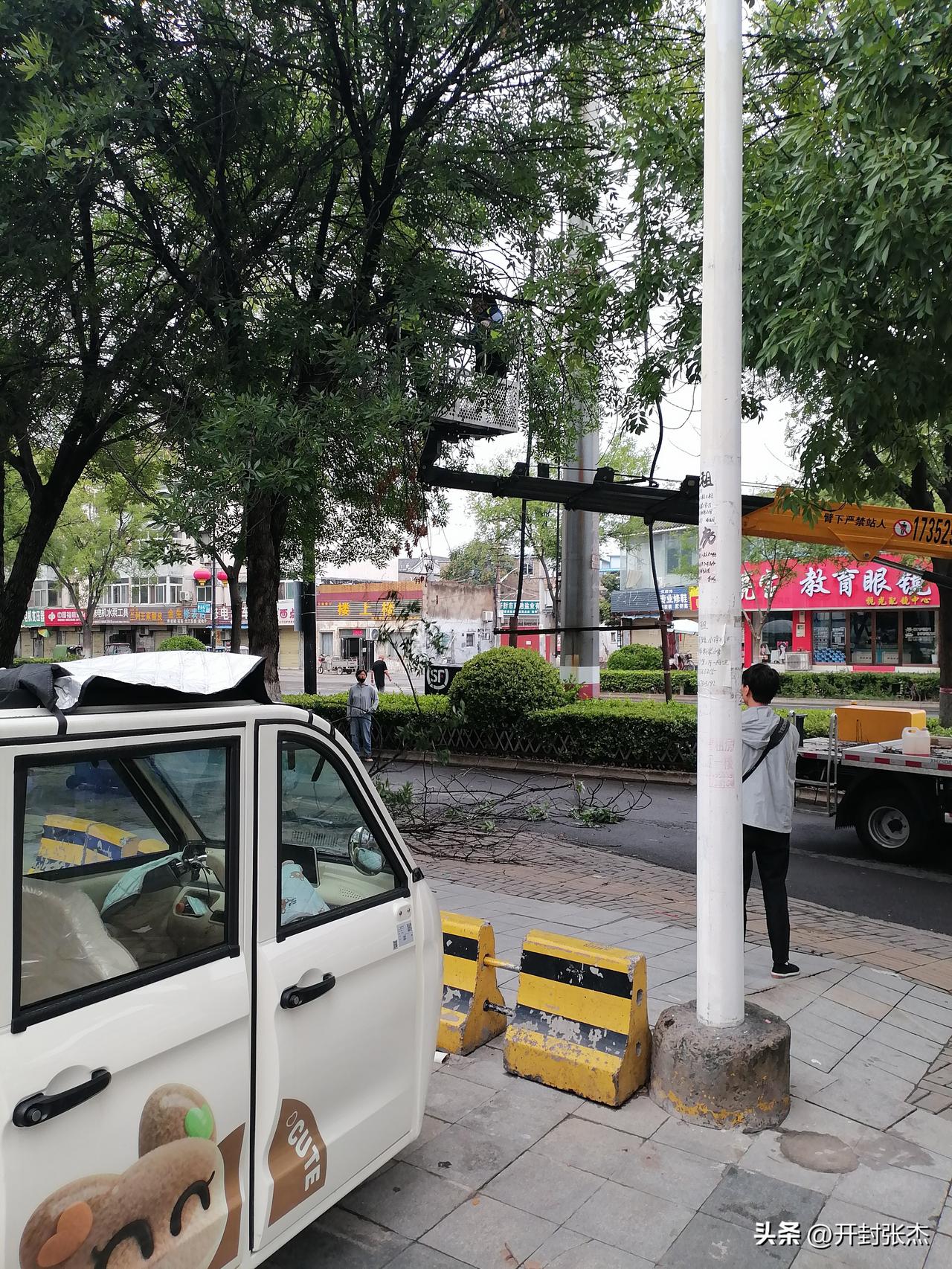 开封市修理大树，今天早晨路过卧龙街看到大吊车装着两名工人正在修理大树