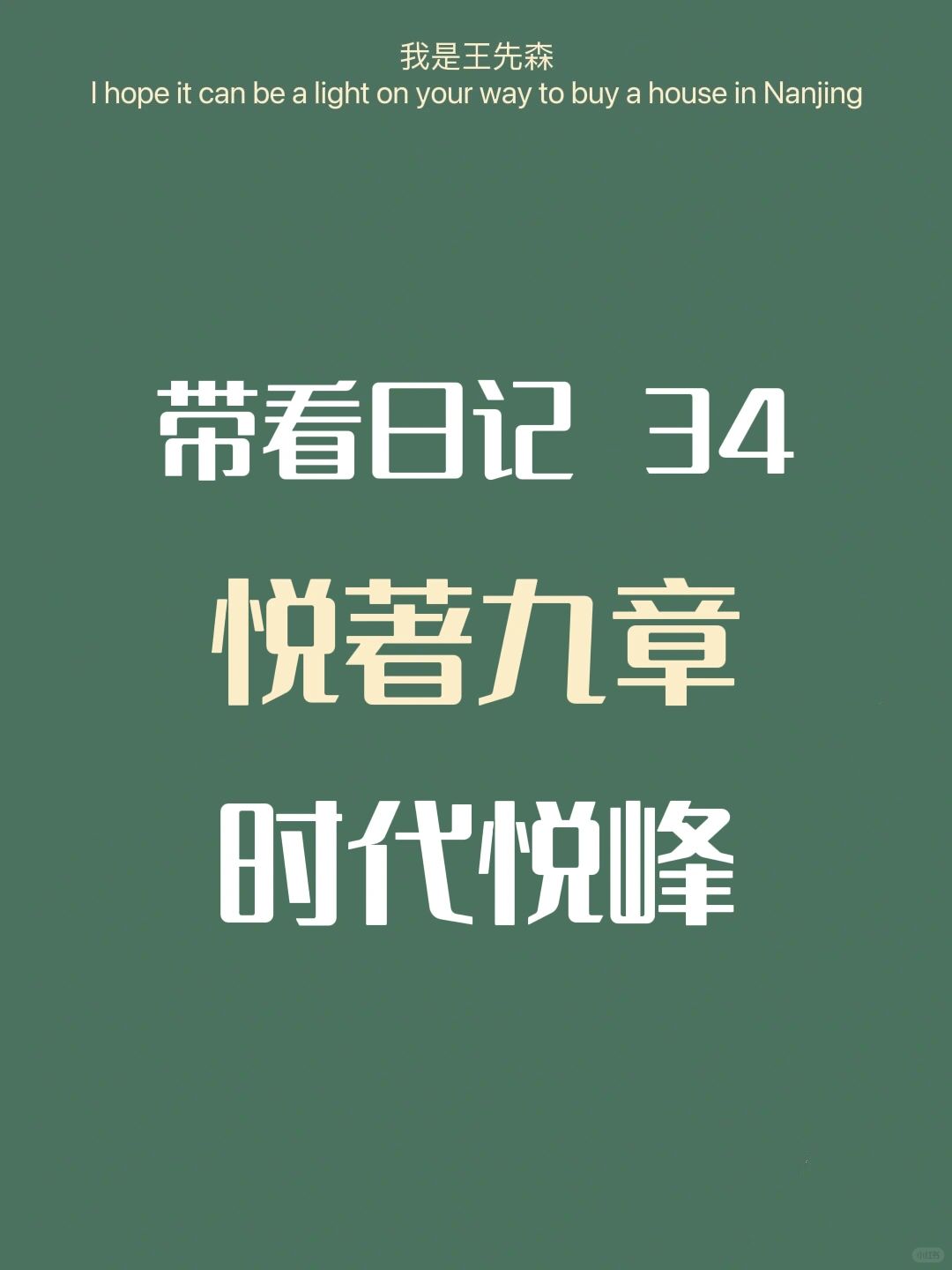 南京买房 看房日记34 悦著九章&时代悦峰