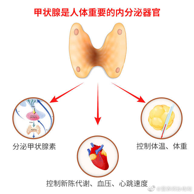 #微博健康公开课##这个问题吃什么##健康身材养成记# 【饮食上如何调理甲减？】