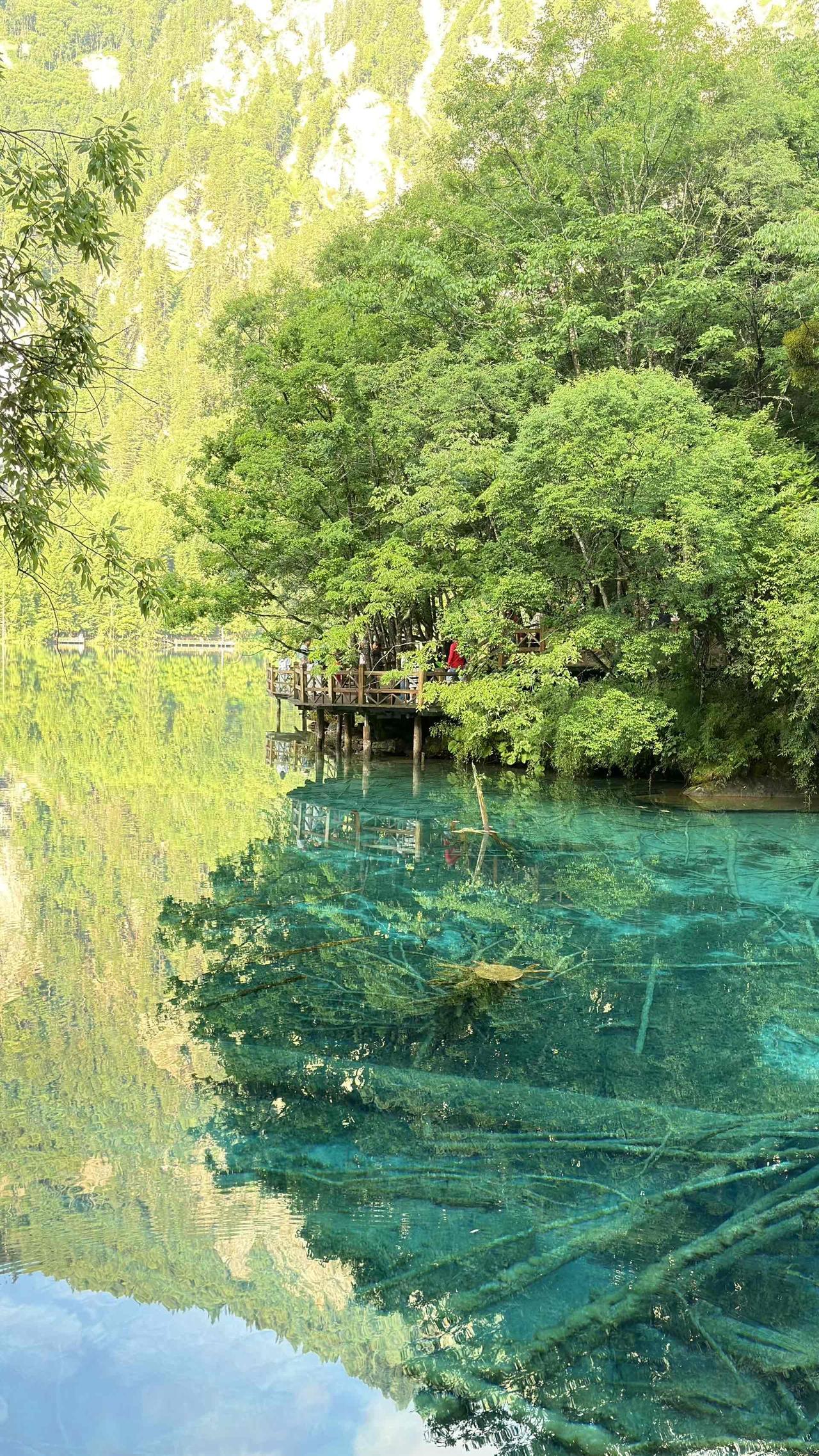 （随拍随言）
看山看水，风景如此美丽，我确如果孤独！